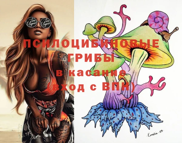 МДПВ Кемь