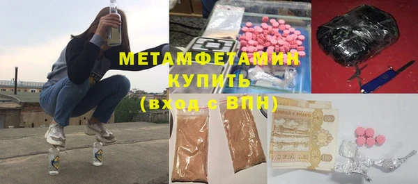 индика Козловка