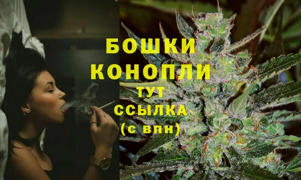 2c-b Козельск